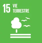 Nouveau Point De Vue 17 ODD15
