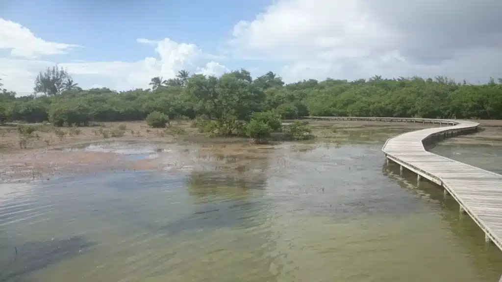 DSC 0092 scaled 2 2048x1152 1